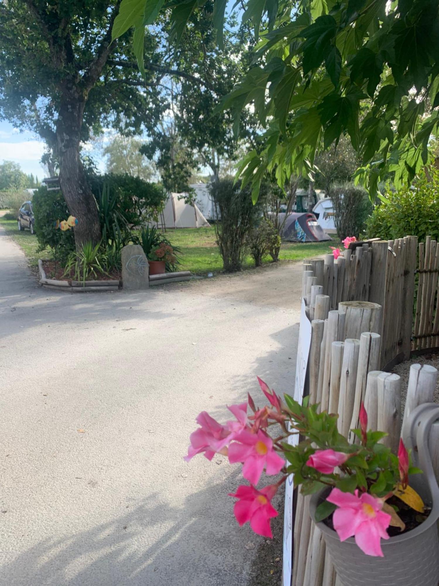 Camping Paradis Le Moulin Des Oies Belz Εξωτερικό φωτογραφία